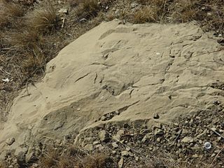 <span class="mw-page-title-main">Paskapoo Formation</span> Stratigraphic unit in Western Canada