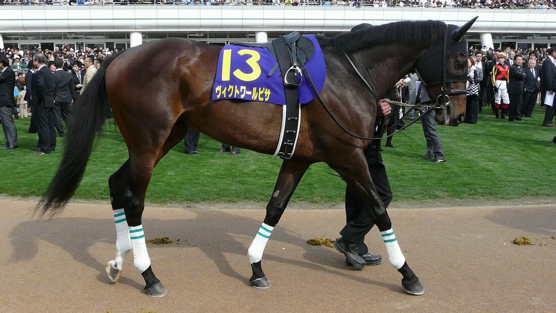 2011 Dubai World Cup