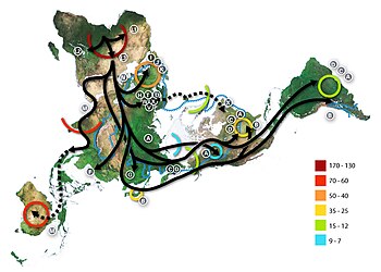 Map of early human migrations, according to mitochondrial population genetics. Numbers are millennia before the present. World map of prehistoric human migrations.jpg