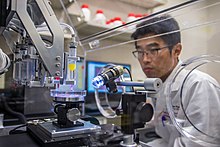 Photo of a scientist looking at a microscope pointed at a petri dish