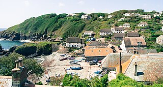 <span class="mw-page-title-main">Cadgwith</span> Village and fishing port in Cornwall, England