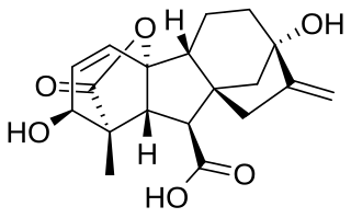 <span class="mw-page-title-main">Gibberellic acid</span> Chemical compound