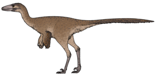 <i>Harenadraco</i> Genus of troodontid dinosaurs