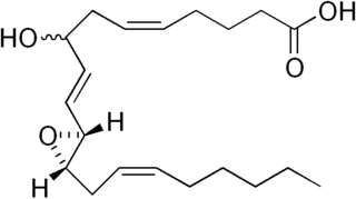 <span class="mw-page-title-main">Hepoxilin</span> Chemical compound