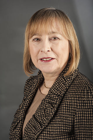 <span class="mw-page-title-main">Mary Honeyball</span> British politician (born 1952)