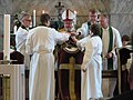 Lutherische Ordination