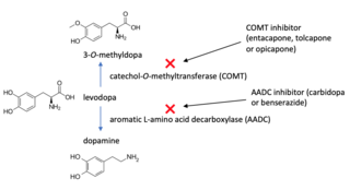 Catechol-<i>O</i>-methyltransferase inhibitor Medication