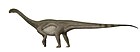 Patagosaurus fariasi