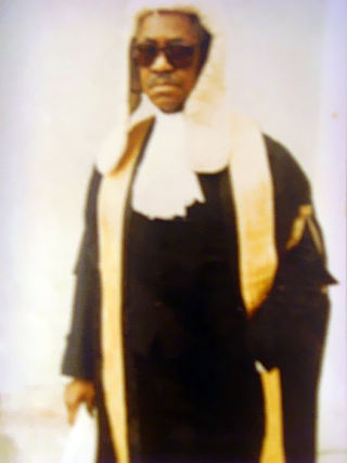 <span class="mw-page-title-main">Remi Fani-Kayode</span> Nigerian politician, statesman and lawyer