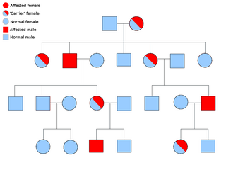 <span class="mw-page-title-main">Choroideremia</span> Medical condition