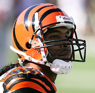 <span class="mw-page-title-main">T. J. Houshmandzadeh</span> American football player (born 1977)