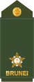 Leftenan muda (Royal Brunei Land Force)