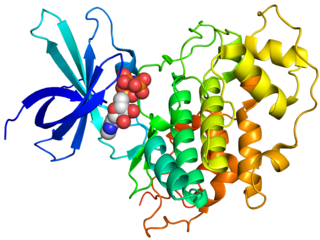 <span class="mw-page-title-main">GSK-3</span> Class of enzymes