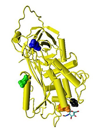 <span class="mw-page-title-main">Antithrombin</span> Mammalian protein found in Homo sapiens