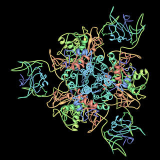 Aspartate carbamoyltransferase Protein family