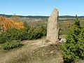 Menhir del Port.