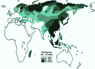 <span class="mw-page-title-main">Haplogroup NO1</span> Human Y-chromosome DNA haplogroup