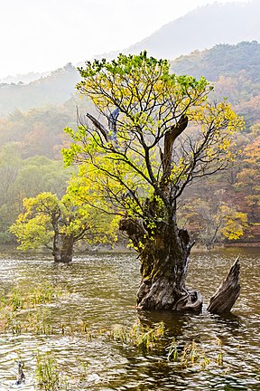 Herbst am Jusanji