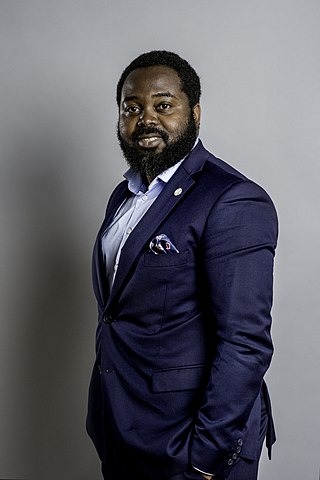 <span class="mw-page-title-main">Momodou Malcolm Jallow</span> Swedish politician (born 1975)