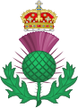 O cardo, flor nacional da Escócia.