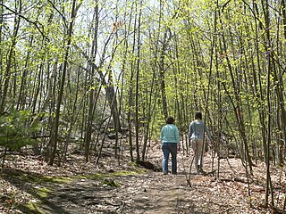 <span class="mw-page-title-main">Wilson Mountain Reservation</span>