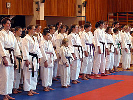 Karateka's