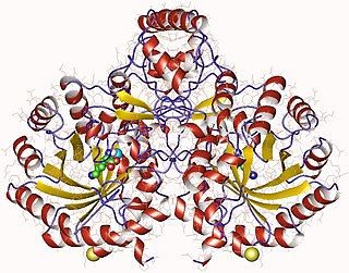 <span class="mw-page-title-main">Homocitrate synthase</span> Enzyme