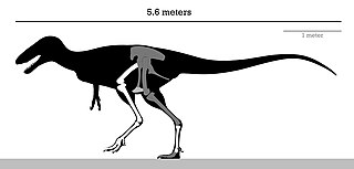 <i>Alectrosaurus</i> Extinct genus of dinosaurs