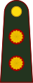 General de brigada (Argentine Army)[7]