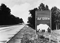 Warntafel „Wildwechsel durch Wild­schweine“.