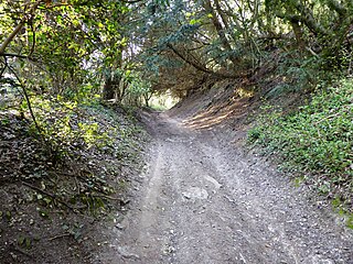 <span class="mw-page-title-main">Burham Down</span> Nature reserve in Kent, England