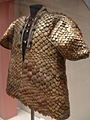 Coat of Pangolin scales