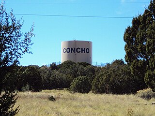 <span class="mw-page-title-main">Concho, Arizona</span> CDP in Apache County, Arizona