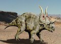 Diabloceratops