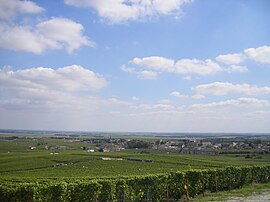 A general view of Avize and its vineyards