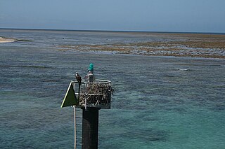 <span class="mw-page-title-main">Green Island National Park</span> Protected area in Queensland, Australia