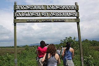 <span class="mw-page-title-main">Kobuleti Strict Nature Reserve</span> Protected nature area in Georgia (country)