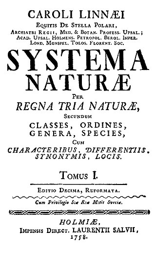 <i>Systema Naturae</i> Major work by botanist Carolus Linnaeus