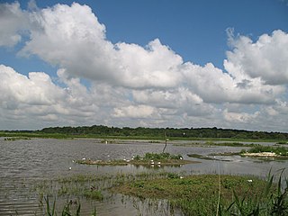 RSPB Minsmere Nature reserve in the United Kingdom