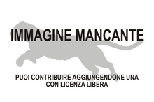 Immagine di Algarolutra majori mancante