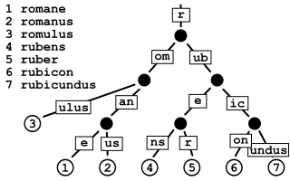 <span class="mw-page-title-main">Radix tree</span> Data structure