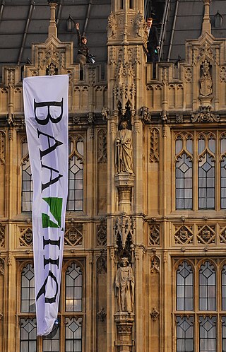 <span class="mw-page-title-main">Plane Stupid</span> UK-focused group of environmental protesters