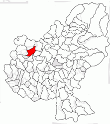 Location in Mureș County