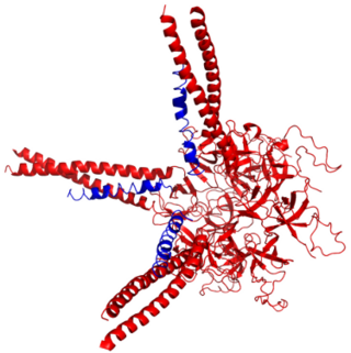 <span class="mw-page-title-main">Prokaryotic ubiquitin-like protein</span>