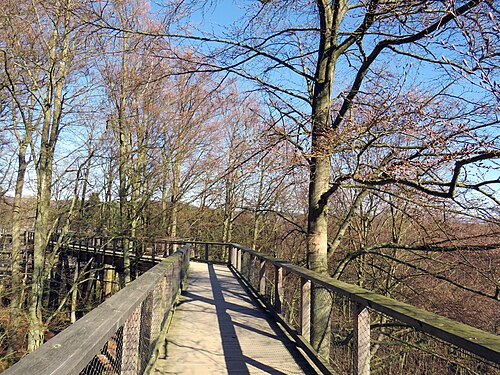 Baumwipfelpfad auf der Insel Rügen