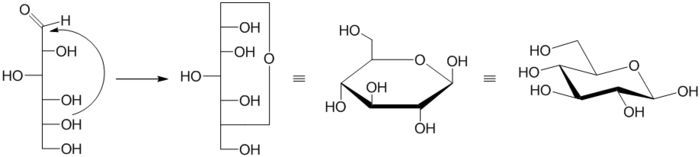 Formation of pyranose hemiacetal and representations of b-D-glucopyranose Representations of glucopyranose.png