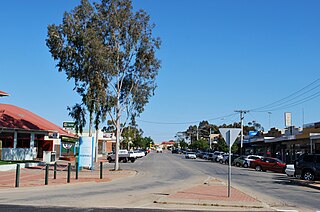 <span class="mw-page-title-main">Robinvale</span> Town in Victoria, Australia