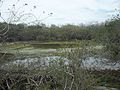 Sabakalal, Yucatán.