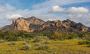 San Carlos Sonora landscape