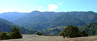 <span class="mw-page-title-main">Sanborn County Park</span> County park in the Santa Cruz Mountains, California, USA